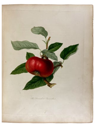 Pomona Londinensis: Containing Coloured Engravings of the Most Esteemed Fruits Cultivated in the British Gardens, with a Descriptive Account of Each Variety