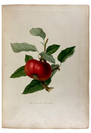 Pomona Londinensis: Containing Coloured Engravings of the Most Esteemed Fruits Cultivated in the British Gardens, with a Descriptive Account of Each Variety