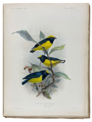 Biologia Centrali-Americana: Aves. Vols. I-IV