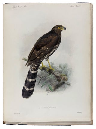 Biologia Centrali-Americana: Aves. Vols. I-IV