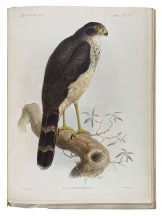 Biologia Centrali-Americana: Aves. Vols. I-IV