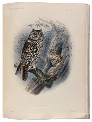 Biologia Centrali-Americana: Aves. Vols. I-IV
