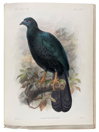 Biologia Centrali-Americana: Aves. Vols. I-IV