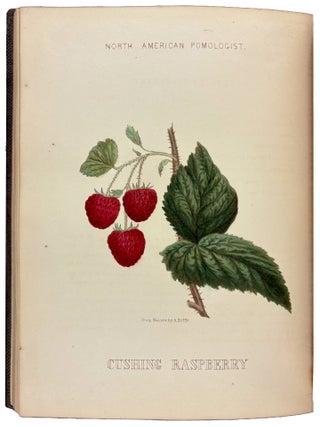Item #41757 Hoffy's North American Pomologist, containing numerous finely colored drawings,...