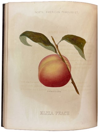 Hoffy's North American Pomologist, containing numerous finely colored drawings, accompanied by letter press descriptions, &c, of fruits of American origin. Edited by William D. Brinckl&eacute;