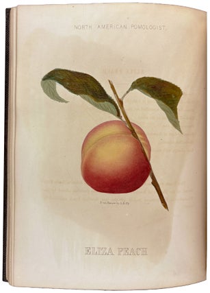 Hoffy's North American Pomologist, containing numerous finely colored drawings, accompanied by letter press descriptions, &c, of fruits of American origin. Edited by William D. Brincklé