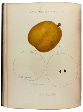 Hoffy's North American Pomologist, containing numerous finely colored drawings, accompanied by letter press descriptions, &c, of fruits of American origin. Edited by William D. Brinckl&eacute;