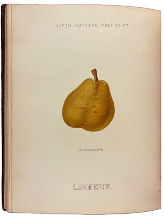 Hoffy's North American Pomologist, containing numerous finely colored drawings, accompanied by letter press descriptions, &c, of fruits of American origin. Edited by William D. Brinckl&eacute;