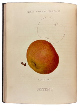 Hoffy's North American Pomologist, containing numerous finely colored drawings, accompanied by letter press descriptions, &c, of fruits of American origin. Edited by William D. Brincklé