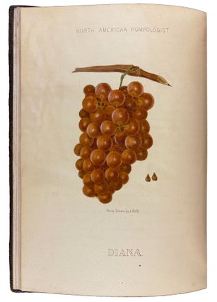 Hoffy's North American Pomologist, containing numerous finely colored drawings, accompanied by letter press descriptions, &c, of fruits of American origin. Edited by William D. Brincklé