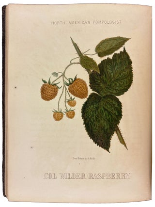 Hoffy's North American Pomologist, containing numerous finely colored drawings, accompanied by letter press descriptions, &c, of fruits of American origin. Edited by William D. Brinckl&eacute;