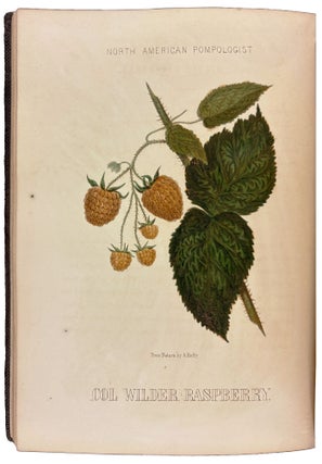 Hoffy's North American Pomologist, containing numerous finely colored drawings, accompanied by letter press descriptions, &c, of fruits of American origin. Edited by William D. Brincklé
