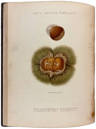 Hoffy's North American Pomologist, containing numerous finely colored drawings, accompanied by letter press descriptions, &c, of fruits of American origin. Edited by William D. Brinckl&eacute;
