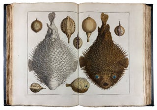 Locupletissimi Rerum Naturalium Thesauri Accurata Descriptio, et Iconibus Artificiosissimis Expressio, per Universam Physices Historiam