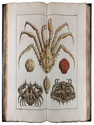 Locupletissimi Rerum Naturalium Thesauri Accurata Descriptio, et Iconibus Artificiosissimis Expressio, per Universam Physices Historiam