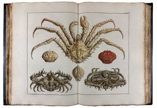 Locupletissimi Rerum Naturalium Thesauri Accurata Descriptio, et Iconibus Artificiosissimis Expressio, per Universam Physices Historiam