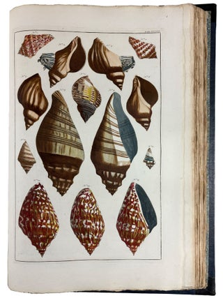 Locupletissimi Rerum Naturalium Thesauri Accurata Descriptio, et Iconibus Artificiosissimis Expressio, per Universam Physices Historiam