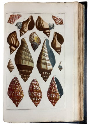Locupletissimi Rerum Naturalium Thesauri Accurata Descriptio, et Iconibus Artificiosissimis Expressio, per Universam Physices Historiam