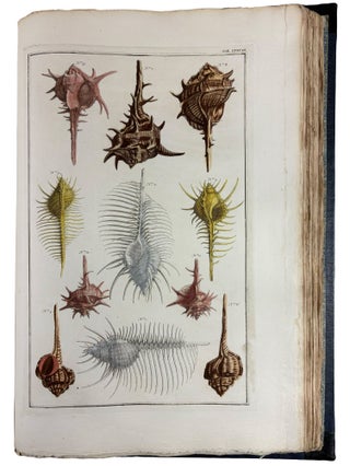 Locupletissimi Rerum Naturalium Thesauri Accurata Descriptio, et Iconibus Artificiosissimis Expressio, per Universam Physices Historiam