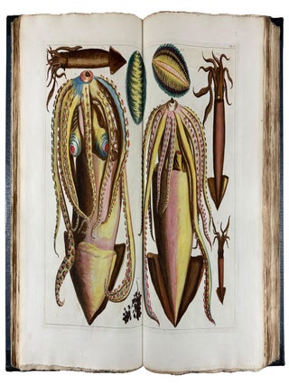 Locupletissimi Rerum Naturalium Thesauri Accurata Descriptio, et Iconibus Artificiosissimis Expressio, per Universam Physices Historiam