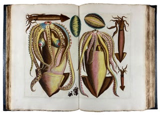 Locupletissimi Rerum Naturalium Thesauri Accurata Descriptio, et Iconibus Artificiosissimis Expressio, per Universam Physices Historiam