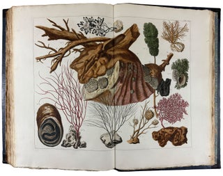 Locupletissimi Rerum Naturalium Thesauri Accurata Descriptio, et Iconibus Artificiosissimis Expressio, per Universam Physices Historiam