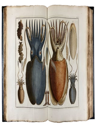 Locupletissimi Rerum Naturalium Thesauri Accurata Descriptio, et Iconibus Artificiosissimis Expressio, per Universam Physices Historiam