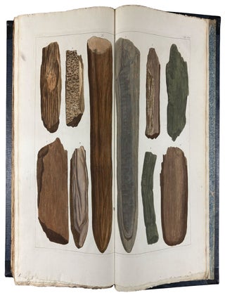 Locupletissimi Rerum Naturalium Thesauri Accurata Descriptio, et Iconibus Artificiosissimis Expressio, per Universam Physices Historiam