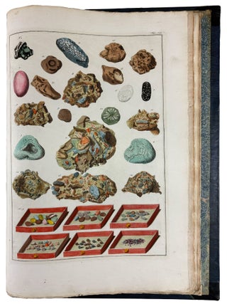 Locupletissimi Rerum Naturalium Thesauri Accurata Descriptio, et Iconibus Artificiosissimis Expressio, per Universam Physices Historiam