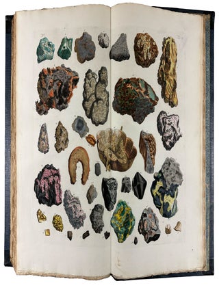 Locupletissimi Rerum Naturalium Thesauri Accurata Descriptio, et Iconibus Artificiosissimis Expressio, per Universam Physices Historiam