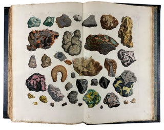 Locupletissimi Rerum Naturalium Thesauri Accurata Descriptio, et Iconibus Artificiosissimis Expressio, per Universam Physices Historiam