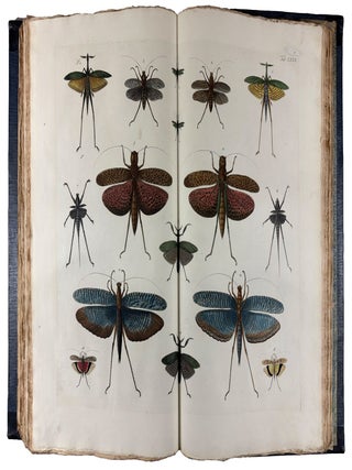 Locupletissimi Rerum Naturalium Thesauri Accurata Descriptio, et Iconibus Artificiosissimis Expressio, per Universam Physices Historiam
