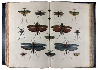Locupletissimi Rerum Naturalium Thesauri Accurata Descriptio, et Iconibus Artificiosissimis Expressio, per Universam Physices Historiam