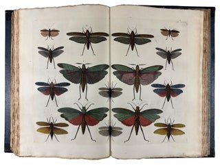 Locupletissimi Rerum Naturalium Thesauri Accurata Descriptio, et Iconibus Artificiosissimis Expressio, per Universam Physices Historiam