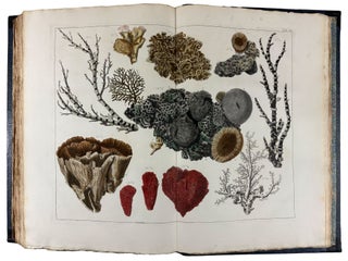 Locupletissimi Rerum Naturalium Thesauri Accurata Descriptio, et Iconibus Artificiosissimis Expressio, per Universam Physices Historiam