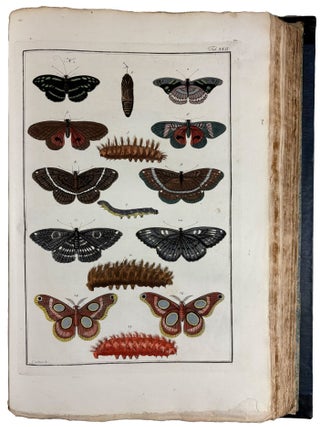 Locupletissimi Rerum Naturalium Thesauri Accurata Descriptio, et Iconibus Artificiosissimis Expressio, per Universam Physices Historiam