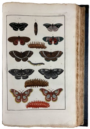 Locupletissimi Rerum Naturalium Thesauri Accurata Descriptio, et Iconibus Artificiosissimis Expressio, per Universam Physices Historiam