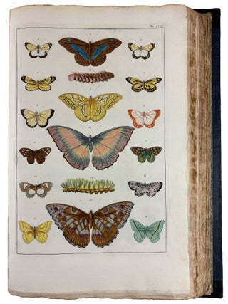 Locupletissimi Rerum Naturalium Thesauri Accurata Descriptio, et Iconibus Artificiosissimis Expressio, per Universam Physices Historiam
