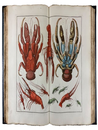 Locupletissimi Rerum Naturalium Thesauri Accurata Descriptio, et Iconibus Artificiosissimis Expressio, per Universam Physices Historiam
