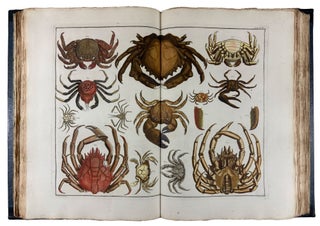 Locupletissimi Rerum Naturalium Thesauri Accurata Descriptio, et Iconibus Artificiosissimis Expressio, per Universam Physices Historiam
