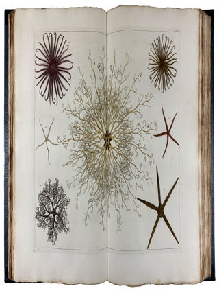 Locupletissimi Rerum Naturalium Thesauri Accurata Descriptio, et Iconibus Artificiosissimis Expressio, per Universam Physices Historiam