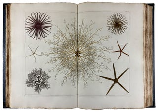 Locupletissimi Rerum Naturalium Thesauri Accurata Descriptio, et Iconibus Artificiosissimis Expressio, per Universam Physices Historiam