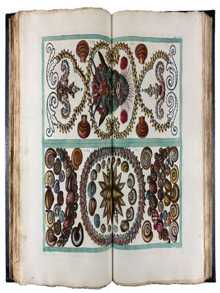 Locupletissimi Rerum Naturalium Thesauri Accurata Descriptio, et Iconibus Artificiosissimis Expressio, per Universam Physices Historiam