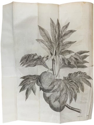 An Account of the Voyages undertaken by the order of His Present Majesty for making discoveries in the Southern Hemisphere, and successively performed by Commodore Byron, Captain Wallis, Captain Carteret, and Captain Cook, in the Dolphin, the Swallow, and the Endeavour; Drawn up from the journals which were kept by the several commanders, and from the papers of Joseph Banks