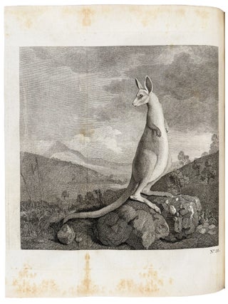 An Account of the Voyages undertaken by the order of His Present Majesty for making discoveries in the Southern Hemisphere, and successively performed by Commodore Byron, Captain Wallis, Captain Carteret, and Captain Cook, in the Dolphin, the Swallow, and the Endeavour; Drawn up from the journals which were kept by the several commanders, and from the papers of Joseph Banks