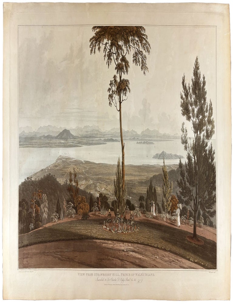 Item #41901 [Malaysia] View from Strawberry Hill, Prince of Wale's Island. William DANIELL, Captain Robert SMITH, engraver, artist.