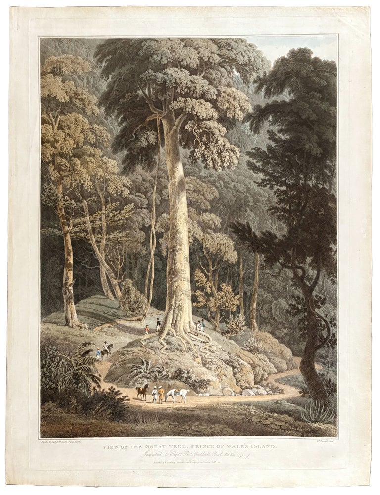 Item #41903 [Malaysia] View of the Great Tree, Prince of Wale's Island. Inscribed to Captn. Thos. Maddock. William DANIELL, Captain Robert SMITH, engraver, artist.
