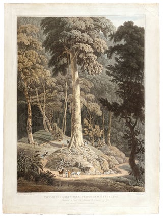 Item #41903 [Malaysia] View of the Great Tree, Prince of Wale's Island. Inscribed to Captn....