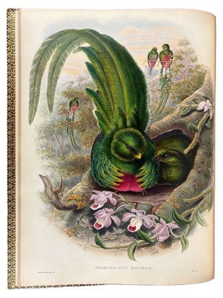 A Monograph of the Trogonidae, or Family of Trogons