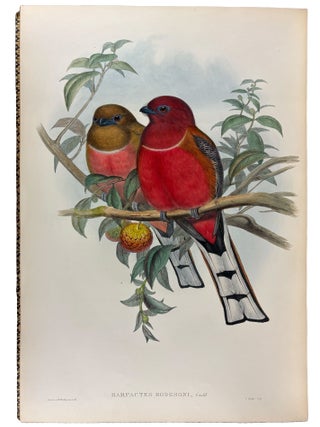A Monograph of the Trogonidae, or Family of Trogons